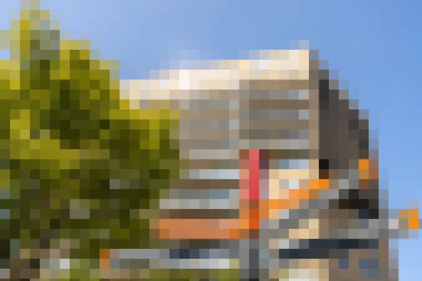 Piet Mondriaanlaan 267 Amersfoort thumbnail 34