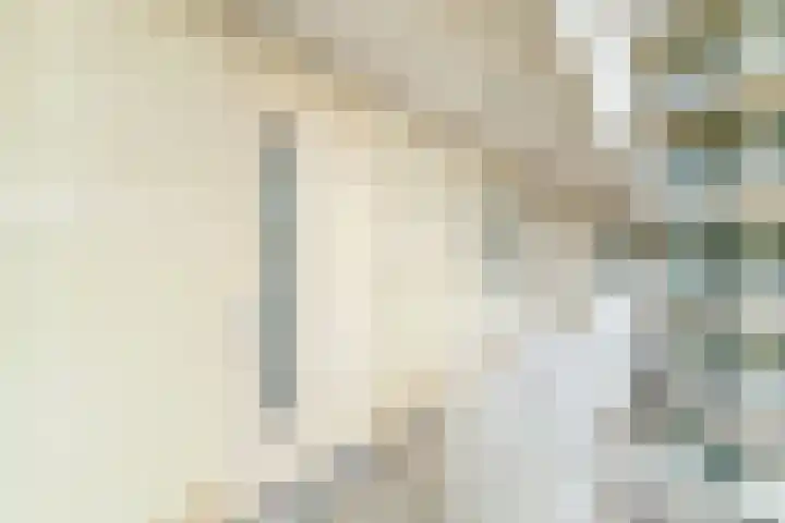 Piet Mondriaanlaan 337 Amersfoort thumbnail 16