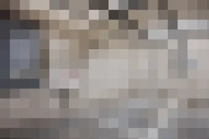 Piet Mondriaanlaan 337 Amersfoort thumbnail 20