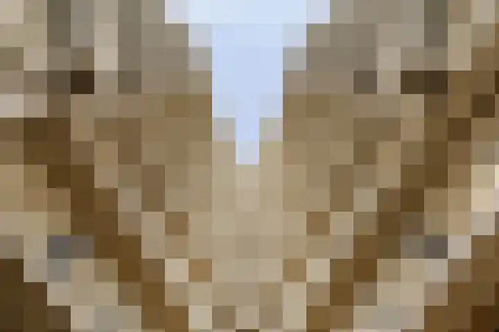 Piet Mondriaanlaan 337 Amersfoort thumbnail 21