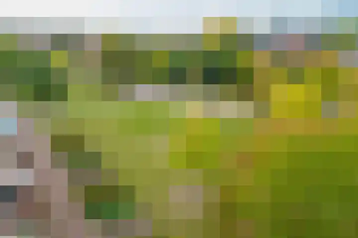 Piet Mondriaanlaan 337 Amersfoort thumbnail 22