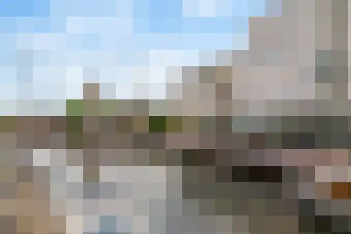 Piet Mondriaanlaan 337 Amersfoort thumbnail 25