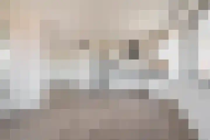 Piet Mondriaanlaan 365 Amersfoort thumbnail 16