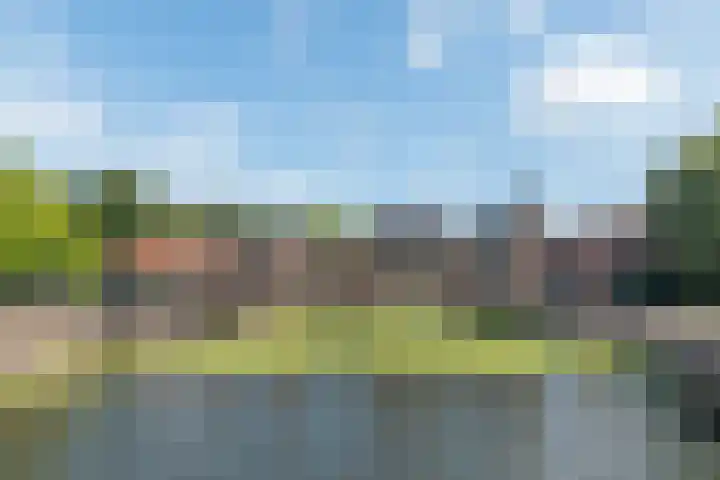 Piet Mondriaanlaan 365 Amersfoort thumbnail 32