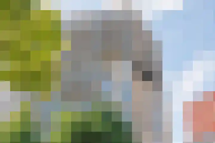 Piet Mondriaanlaan 365 Amersfoort thumbnail 35