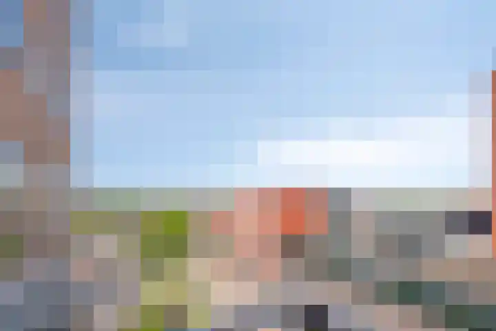 Piet Mondriaanlaan 399 Amersfoort thumbnail 23
