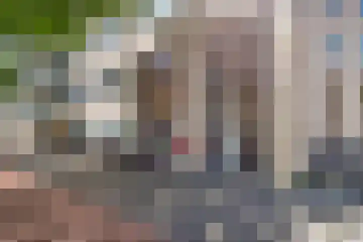 Piet Mondriaanlaan 399 Amersfoort thumbnail 25