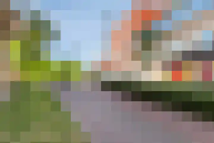 Piet Mondriaanlaan 399 Amersfoort thumbnail 28