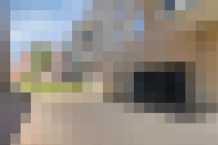 Piet Mondriaanlaan 399 Amersfoort thumbnail 29