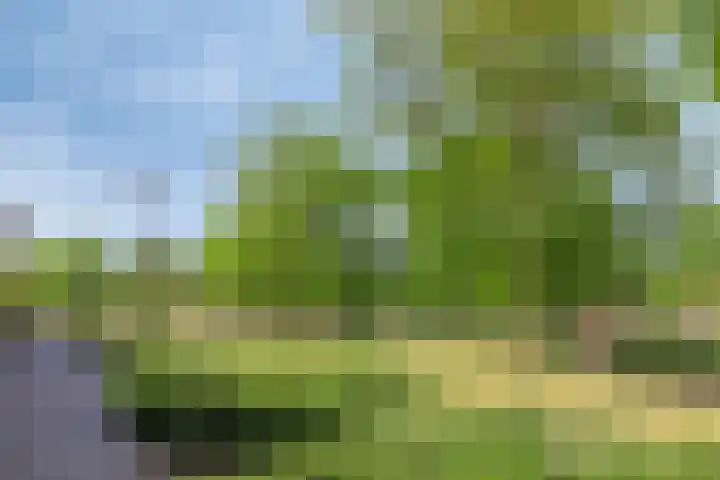 Piet Mondriaanlaan 399 Amersfoort thumbnail 30