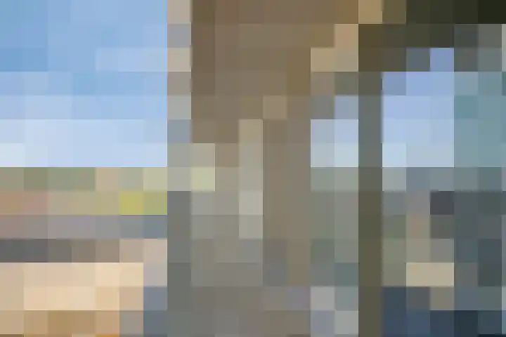 Piet Mondriaanlaan 399 Amersfoort thumbnail 6