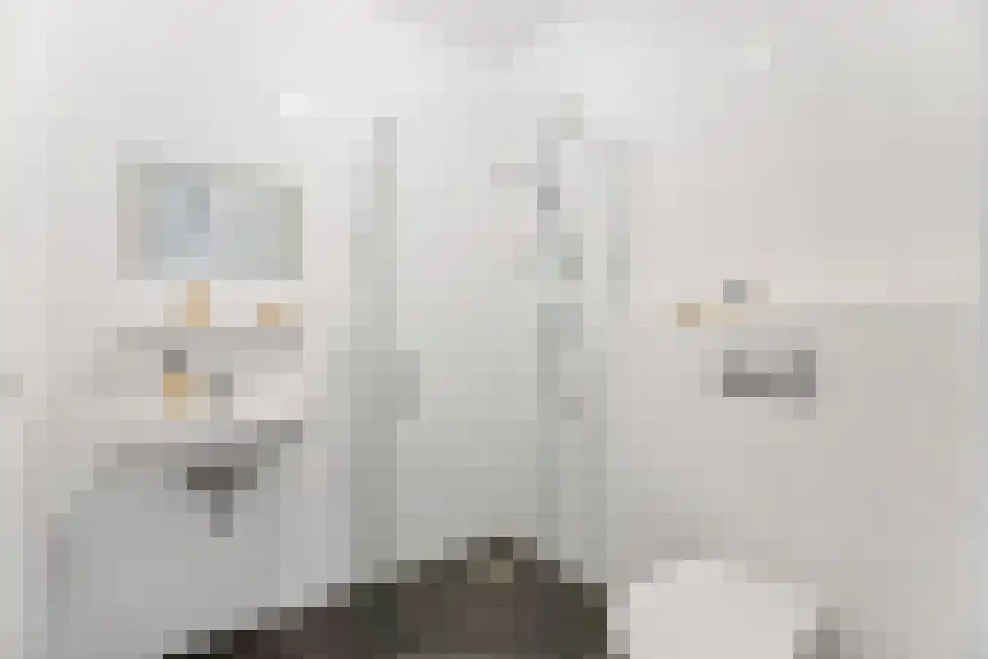 Piet Mondriaanlaan 401 Amersfoort thumbnail 30