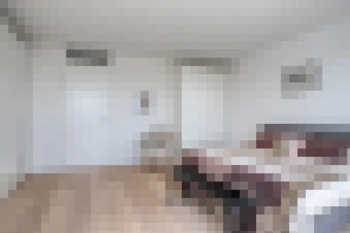 Piet Mondriaanlaan 411 Amersfoort thumbnail 17