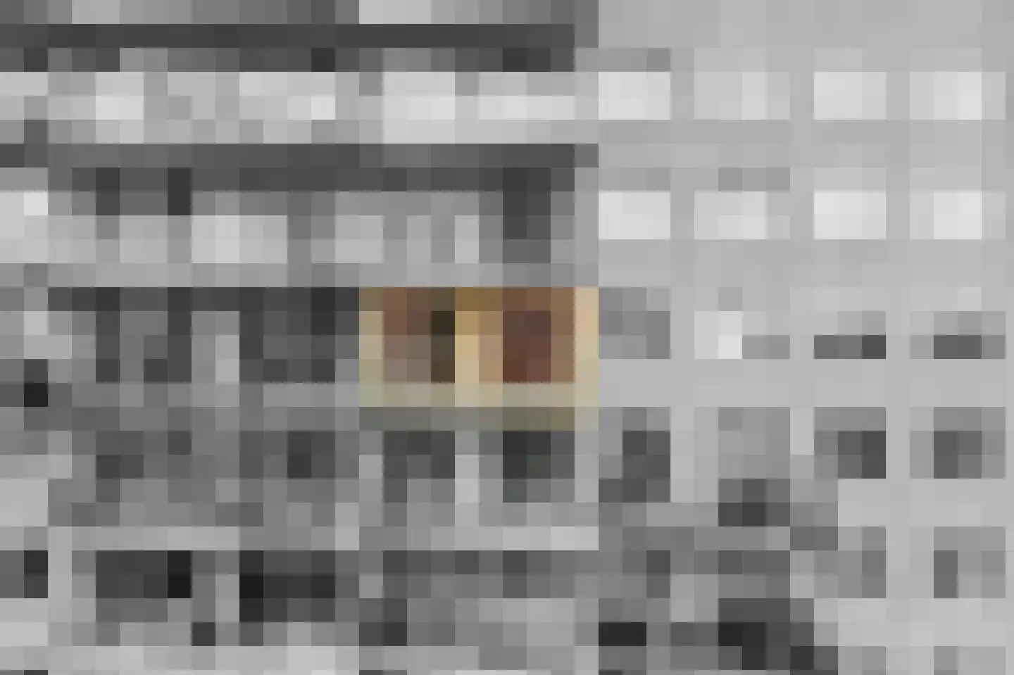 Piet Mondriaanlaan 417 Amersfoort thumbnail 31