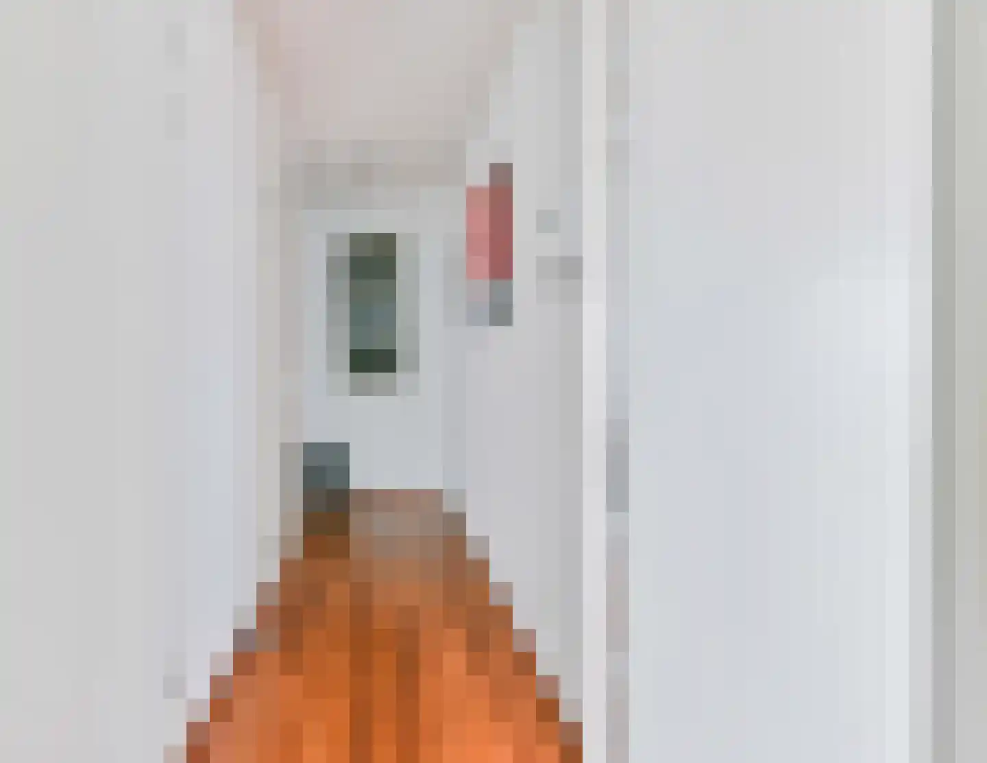 Piet Mondriaanlaan 439 Amersfoort thumbnail 16