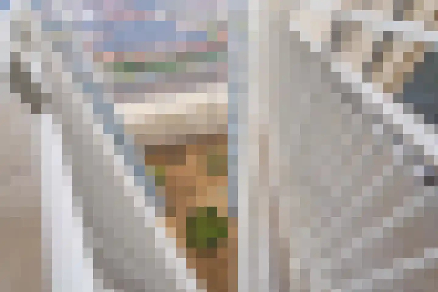 Piet Mondriaanlaan 439 Amersfoort thumbnail 4