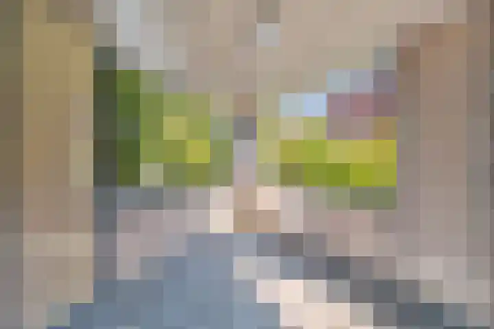 Piet Mondriaanlaan 87 Amersfoort thumbnail 15