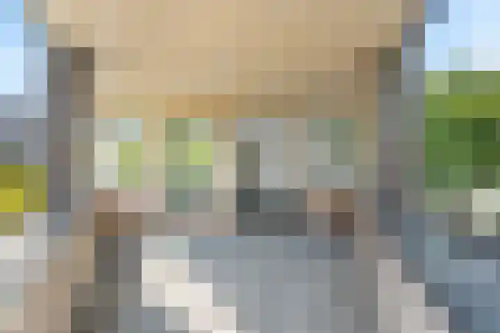 Piet Mondriaanlaan 87 Amersfoort thumbnail 16