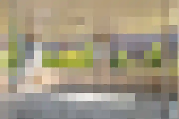 Piet Mondriaanlaan 87 Amersfoort thumbnail 18