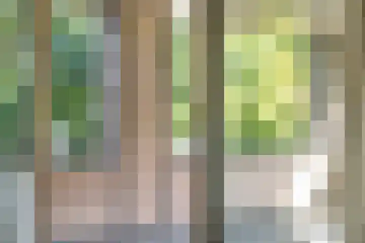 Piet Mondriaanlaan 87 Amersfoort thumbnail 19