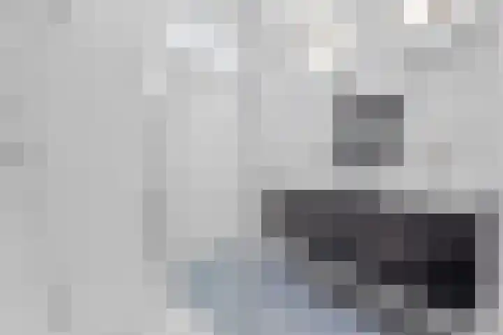 Piet Mondriaanlaan 87 Amersfoort thumbnail 22