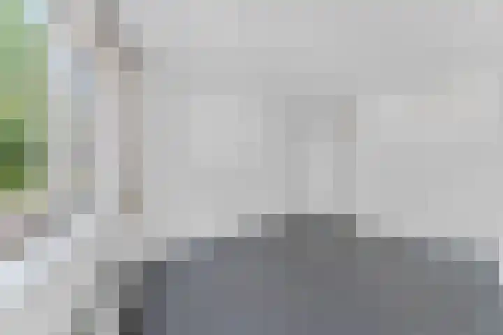 Piet Mondriaanlaan 87 Amersfoort thumbnail 27