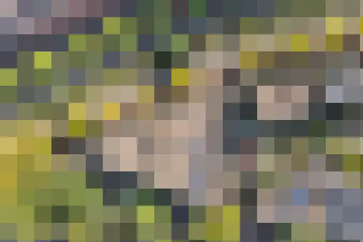 Piet Mondriaanlaan 87 Amersfoort thumbnail 31