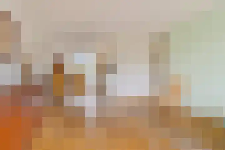 Piet Mondriaanpad 25 Spijkenisse thumbnail 10