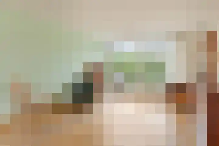 Piet Mondriaanpad 25 Spijkenisse thumbnail 11