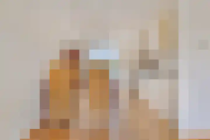 Piet Mondriaanpad 25 Spijkenisse thumbnail 13