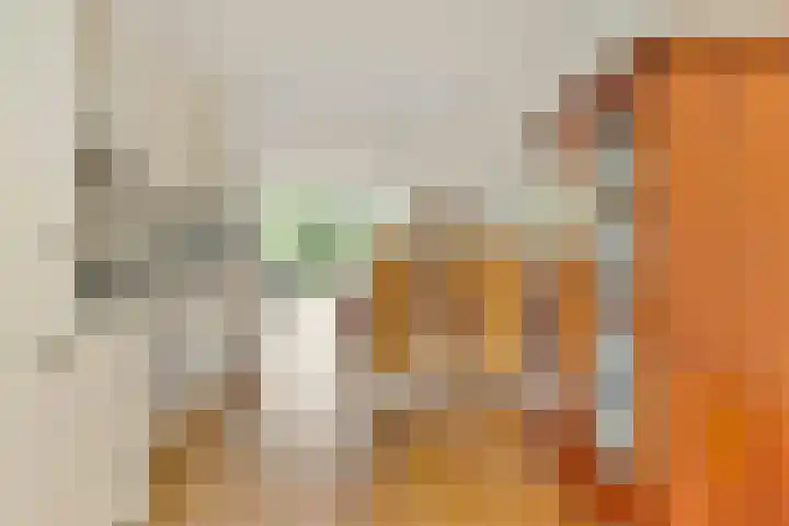 Piet Mondriaanpad 25 Spijkenisse thumbnail 15