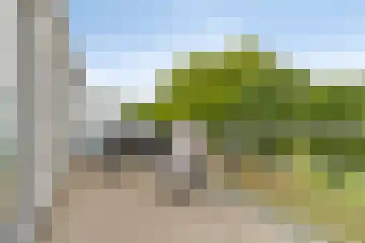 Piet Mondriaanpad 25 Spijkenisse thumbnail 17