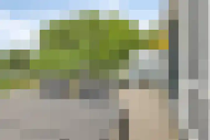 Piet Mondriaanpad 25 Spijkenisse thumbnail 18