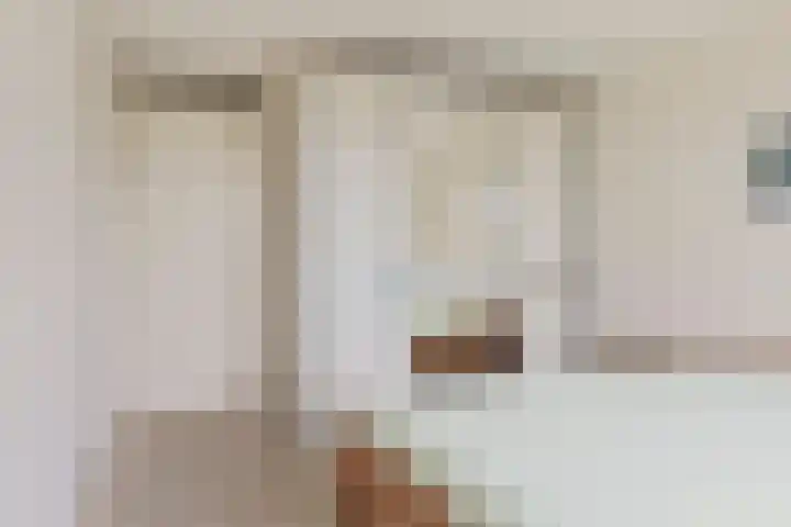 Piet Mondriaanpad 25 Spijkenisse thumbnail 20