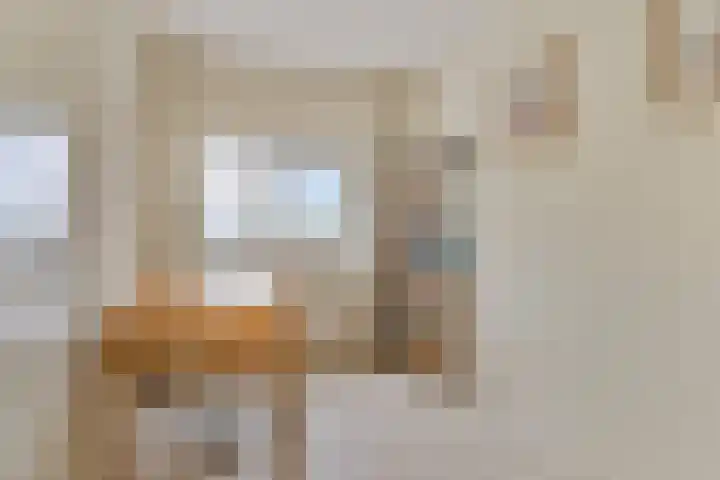 Piet Mondriaanpad 25 Spijkenisse thumbnail 23
