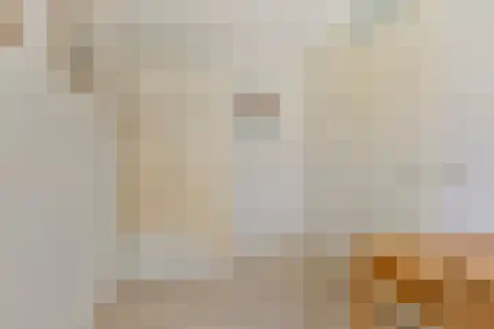 Piet Mondriaanpad 25 Spijkenisse thumbnail 24