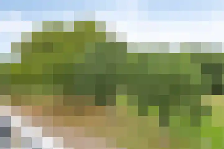 Piet Mondriaanpad 25 Spijkenisse thumbnail 26