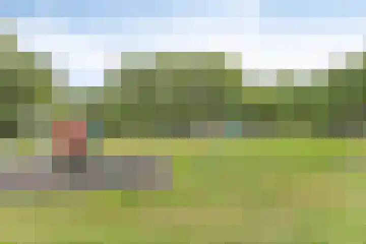 Piet Mondriaanpad 25 Spijkenisse thumbnail 27