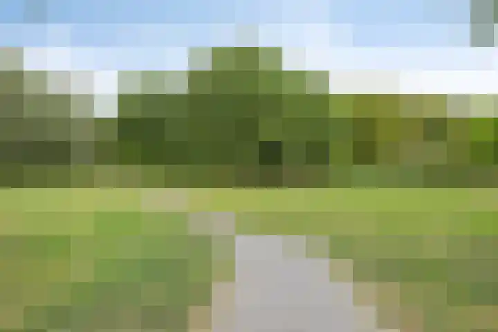 Piet Mondriaanpad 25 Spijkenisse thumbnail 28