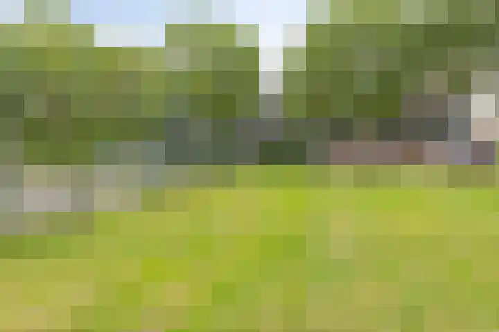 Piet Mondriaanpad 25 Spijkenisse thumbnail 29