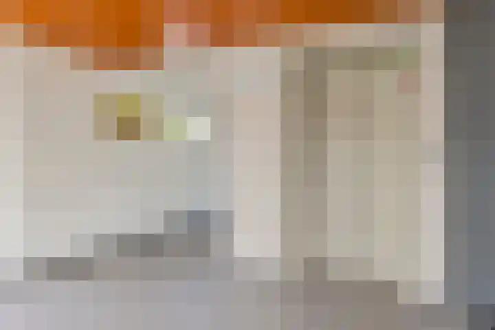 Piet Mondriaanpad 25 Spijkenisse thumbnail 5