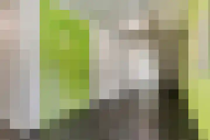 Piet Mondriaanplein 143 Amersfoort thumbnail 5