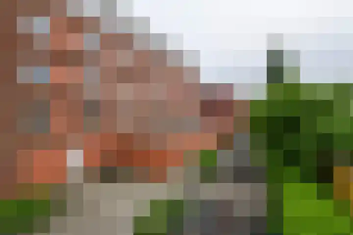 Piet Mondriaanplein 241 Amersfoort thumbnail 12