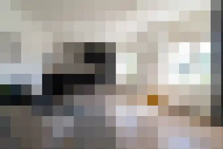 Piet Mondriaanplein 251 Amersfoort thumbnail 12