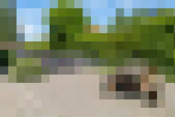 Piet Mondriaanplein 251 Amersfoort thumbnail 33