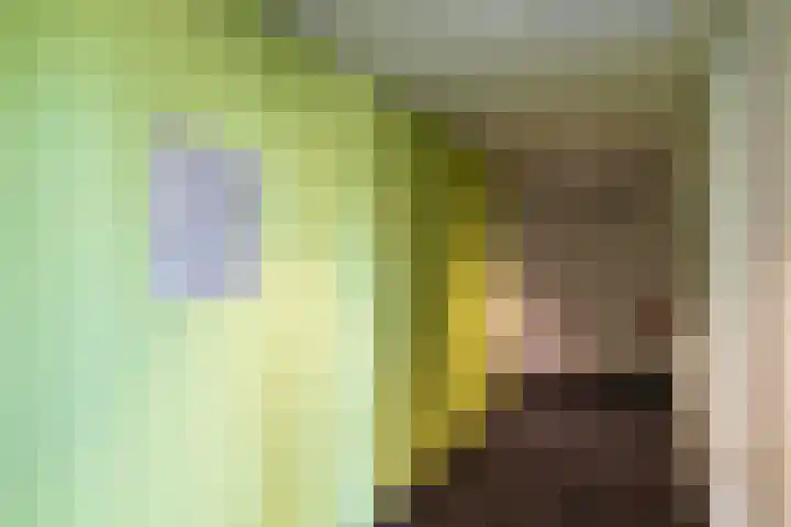 Piet Mondriaanplein 251 Amersfoort thumbnail 7