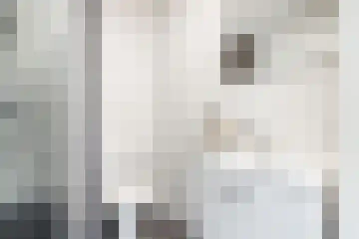 Piet Mondriaanplein 253 Amersfoort thumbnail 12