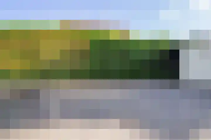 Piet Mondriaanplein 253 Amersfoort thumbnail 17