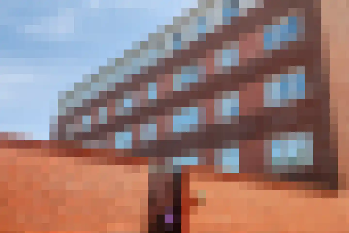 Piet Mondriaanplein 271 Amersfoort thumbnail 25