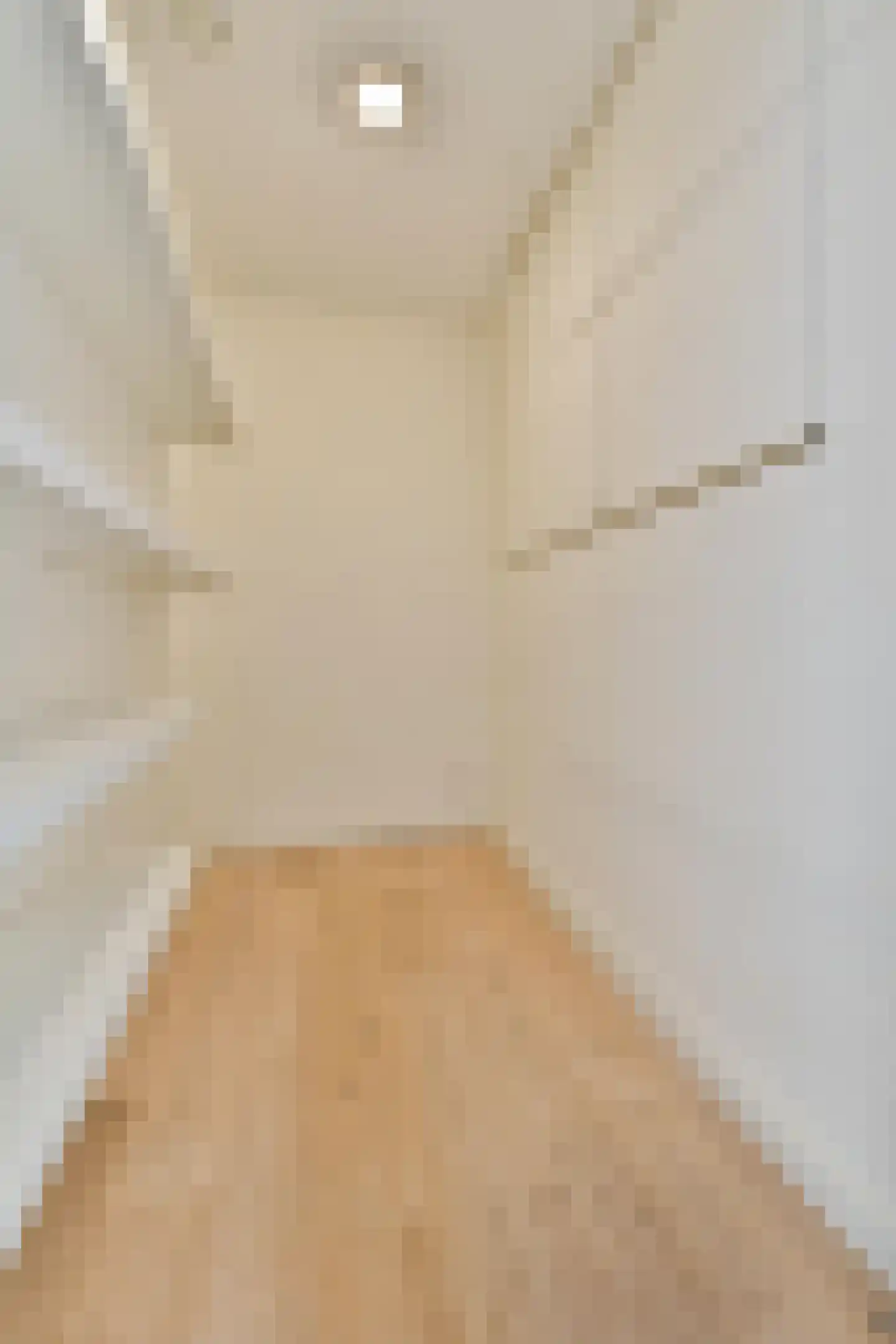 Piet Mondriaansingel 103 Diemen thumbnail 23